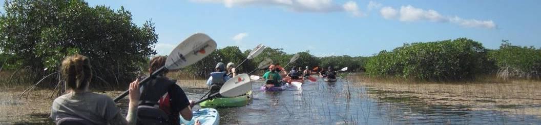 Kayaking in the Everglades